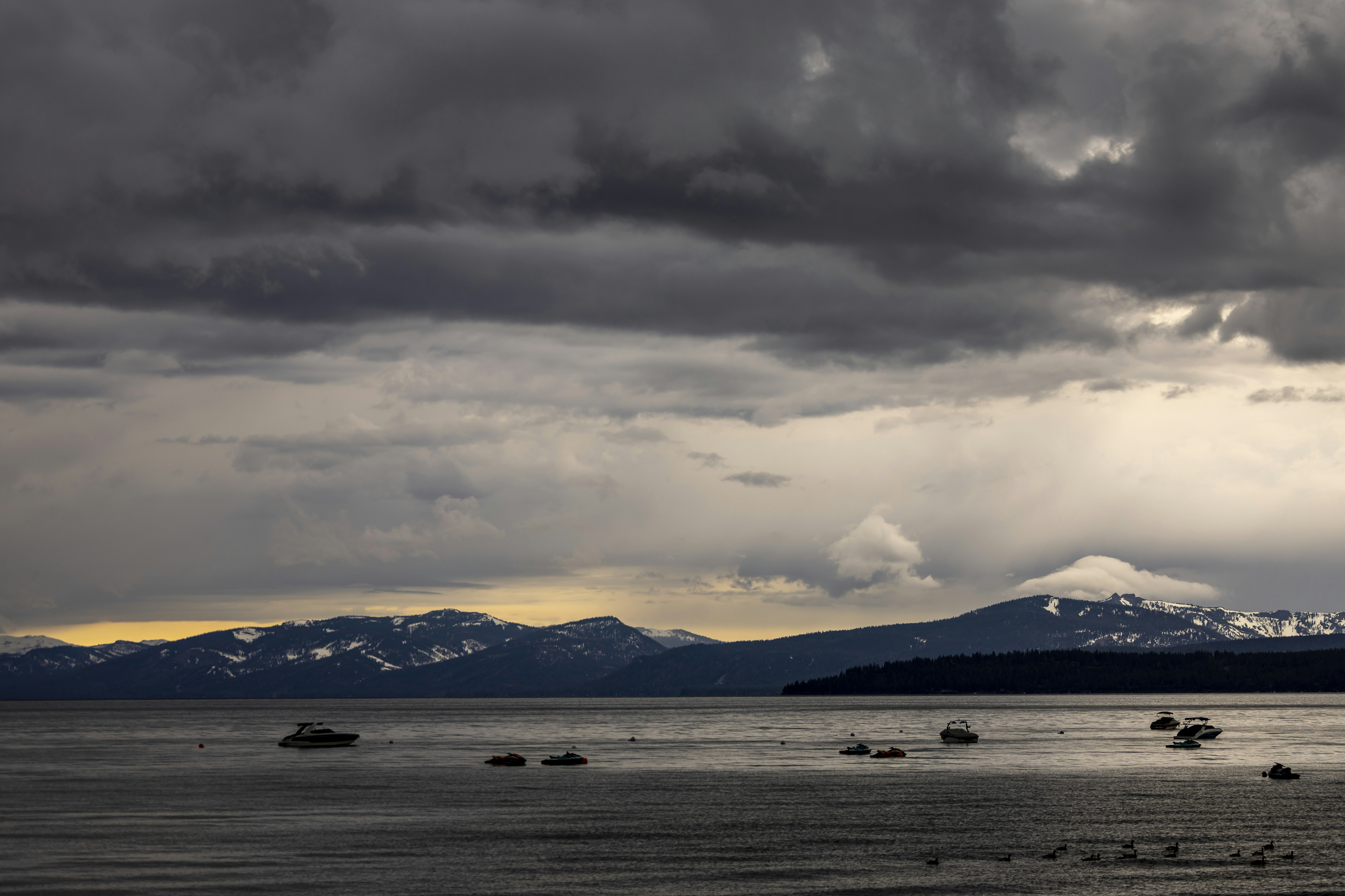 Photo by leo_visions_