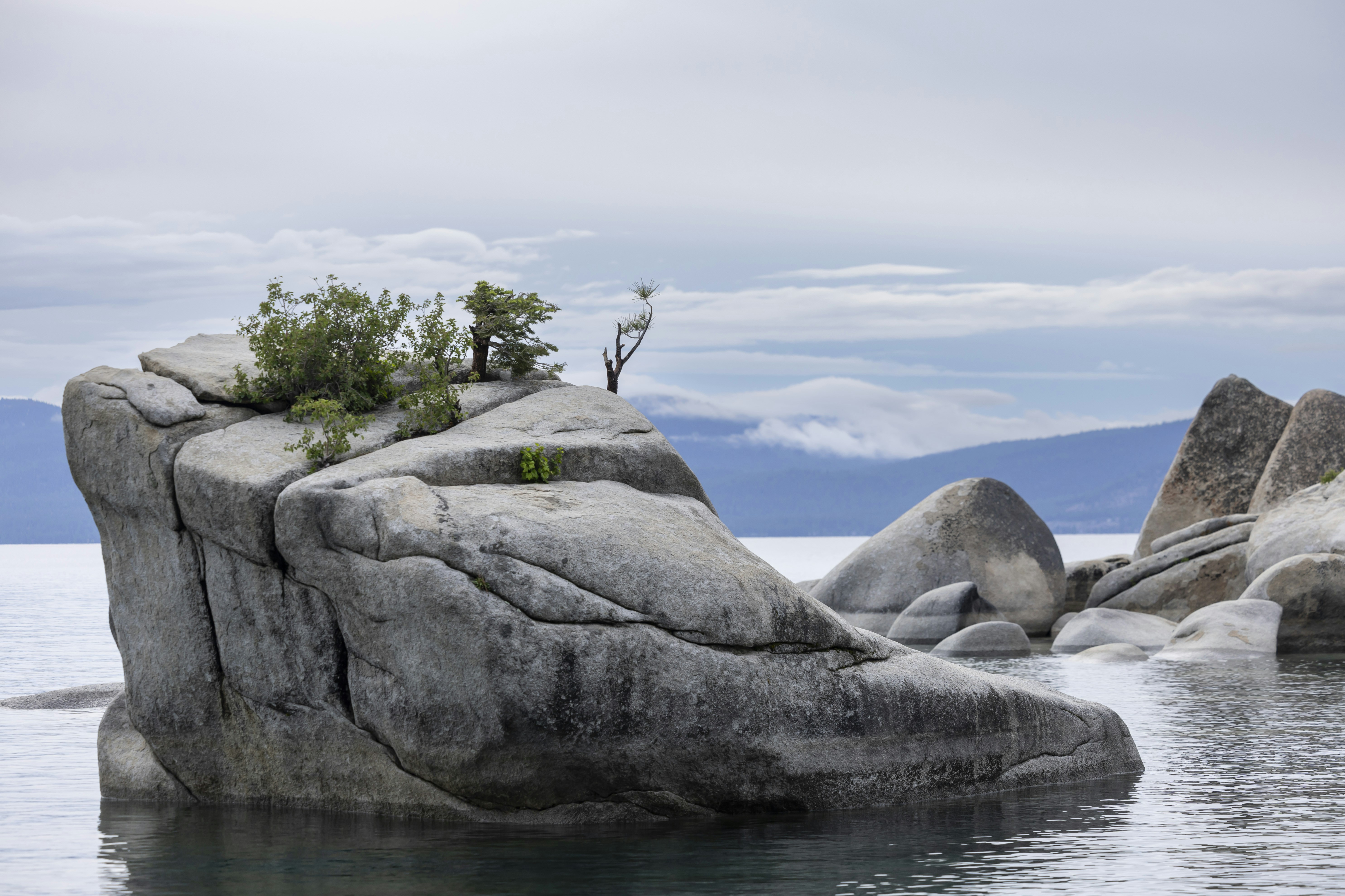 Photo by leo_visions_