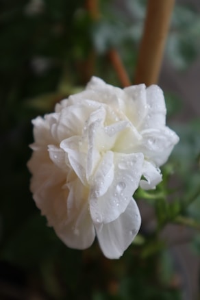 Photo 1687454239522 Fe041b7691e9?q=85&w=584&h=438&fit=crop