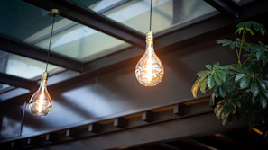 A pair of large, decorative light bulbs hangs from the ceiling, casting a warm glow. The ceiling structure is modern with a combination of glass and metal. To the right, a green leafy plant adds an element of nature to the architecture.