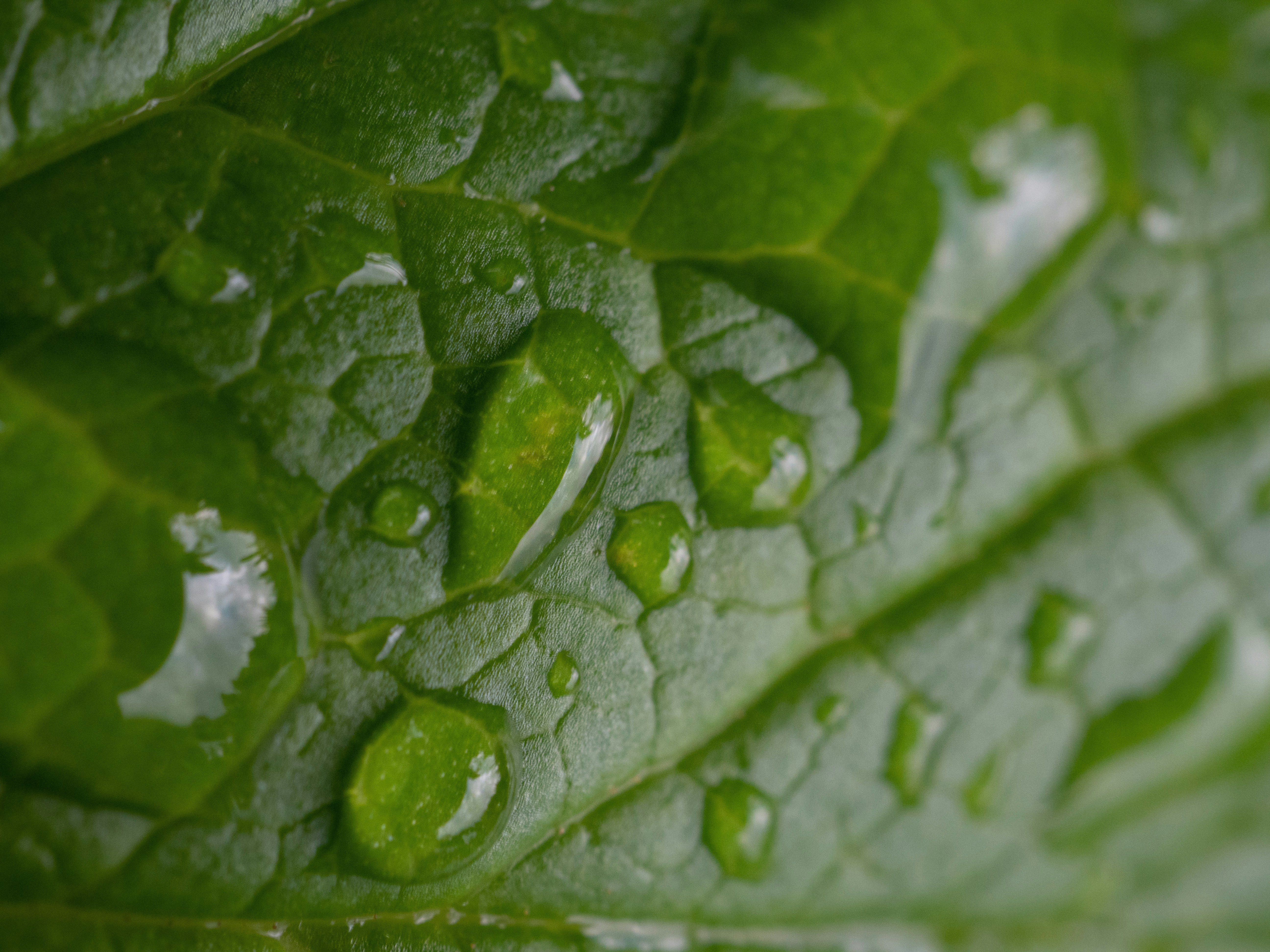 Photo by janifreelancing