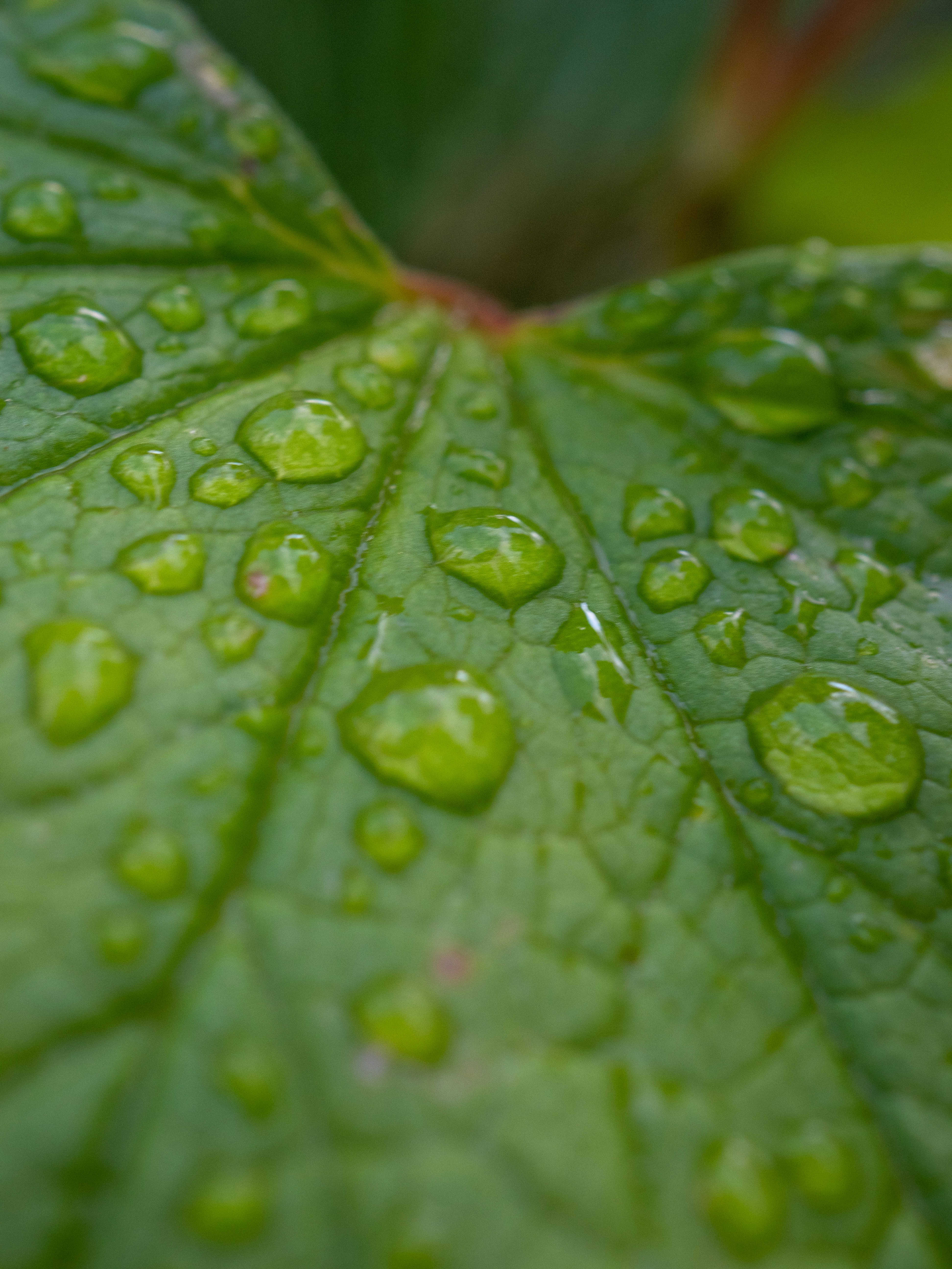 Photo by janifreelancing