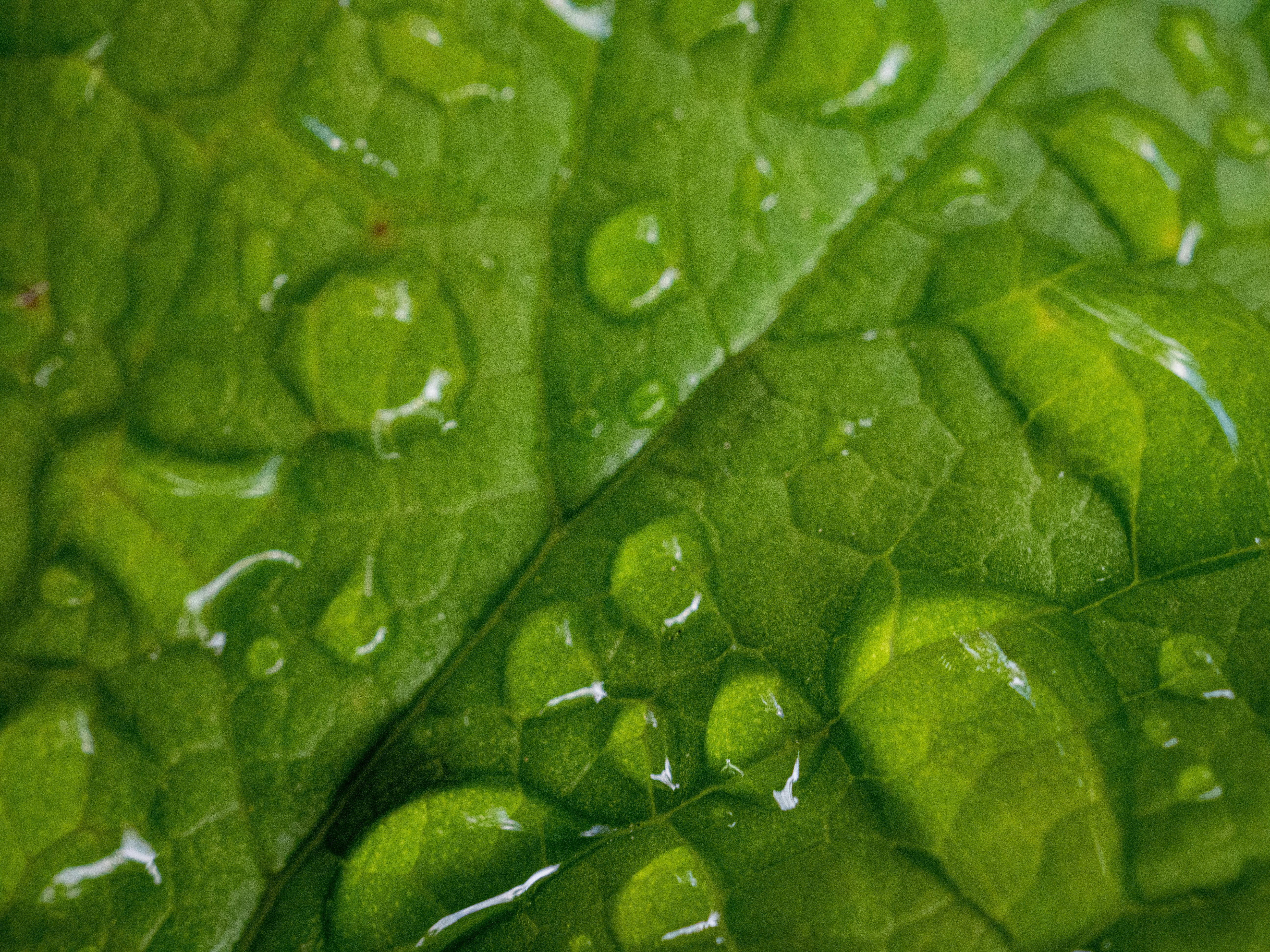 Photo by janifreelancing