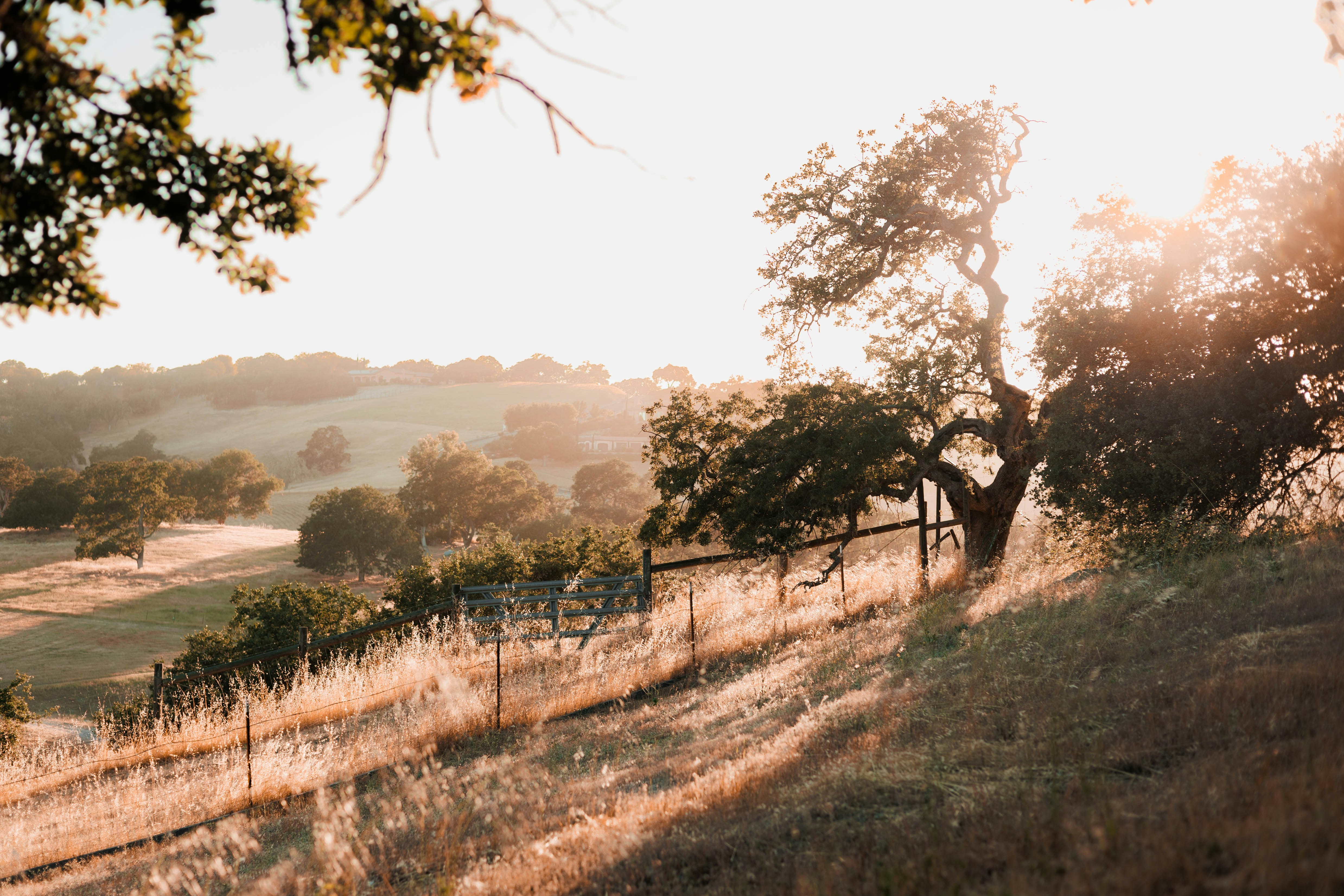 Photo by jeffersonsees