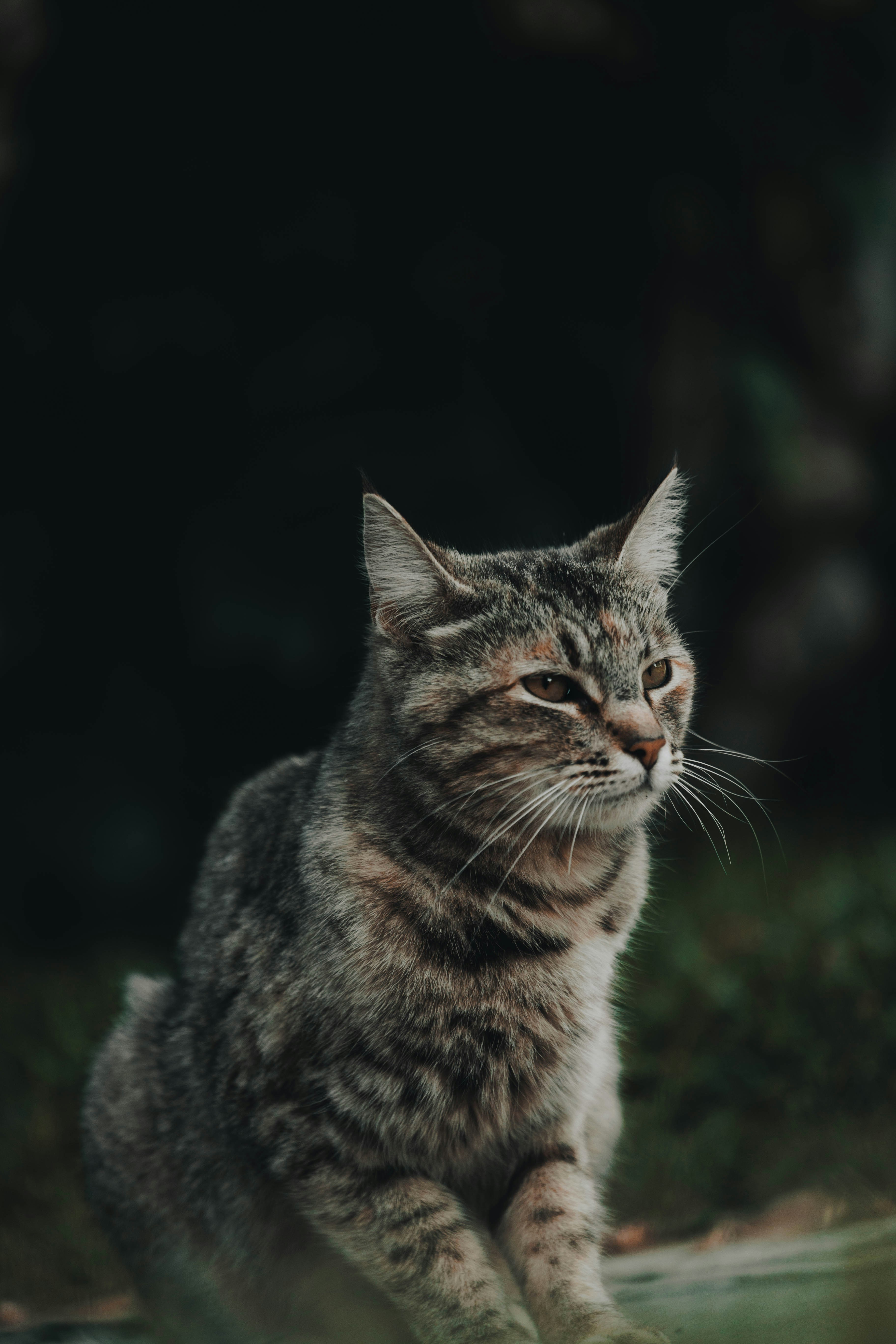 Photo by jeffersonsees