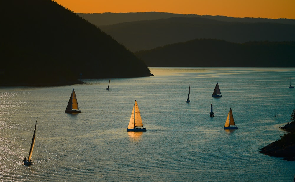 a group of sailboats floating on top of a large body of water