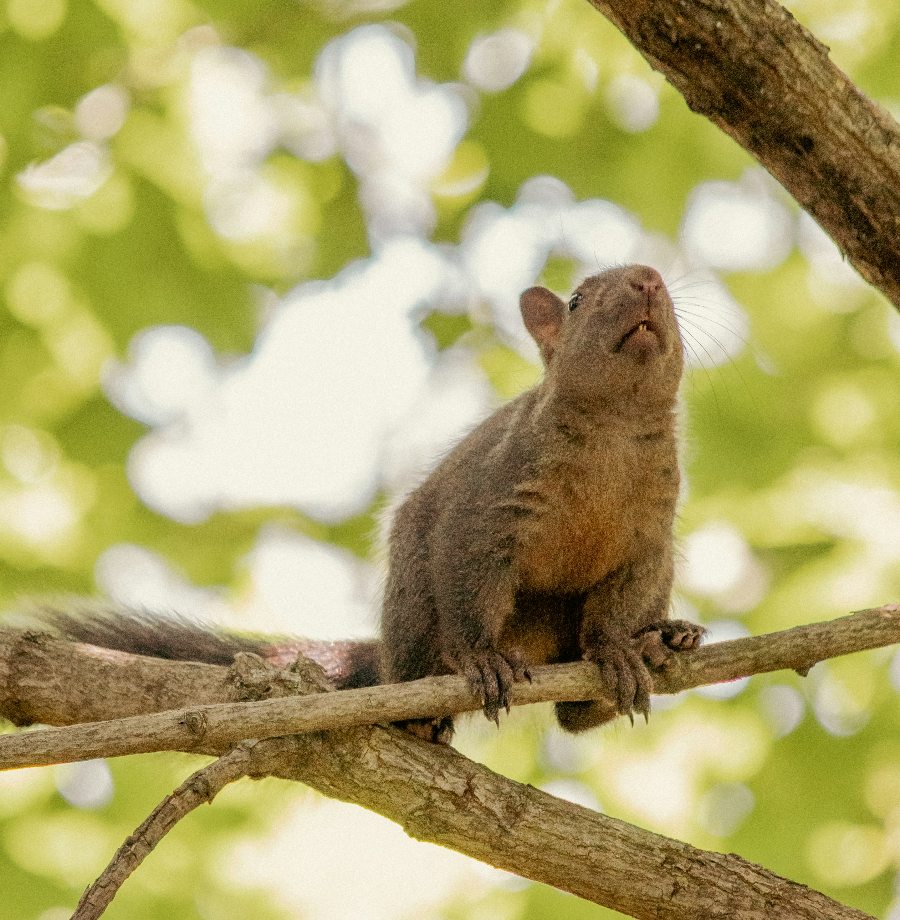 Photo by sinabahar76