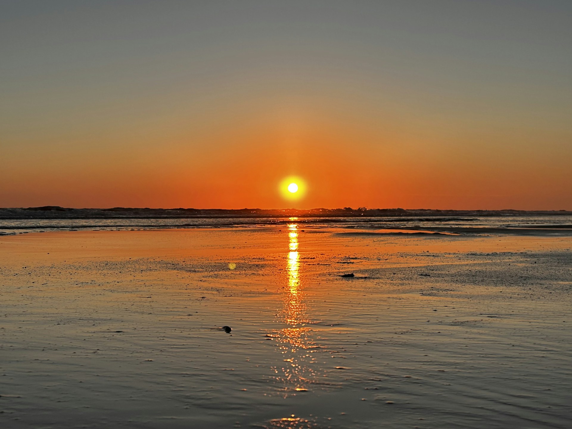 gray computer monitor