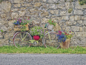 Close-up of a bicycle leaning against a weathered fence with wildflowers blooming nearby.