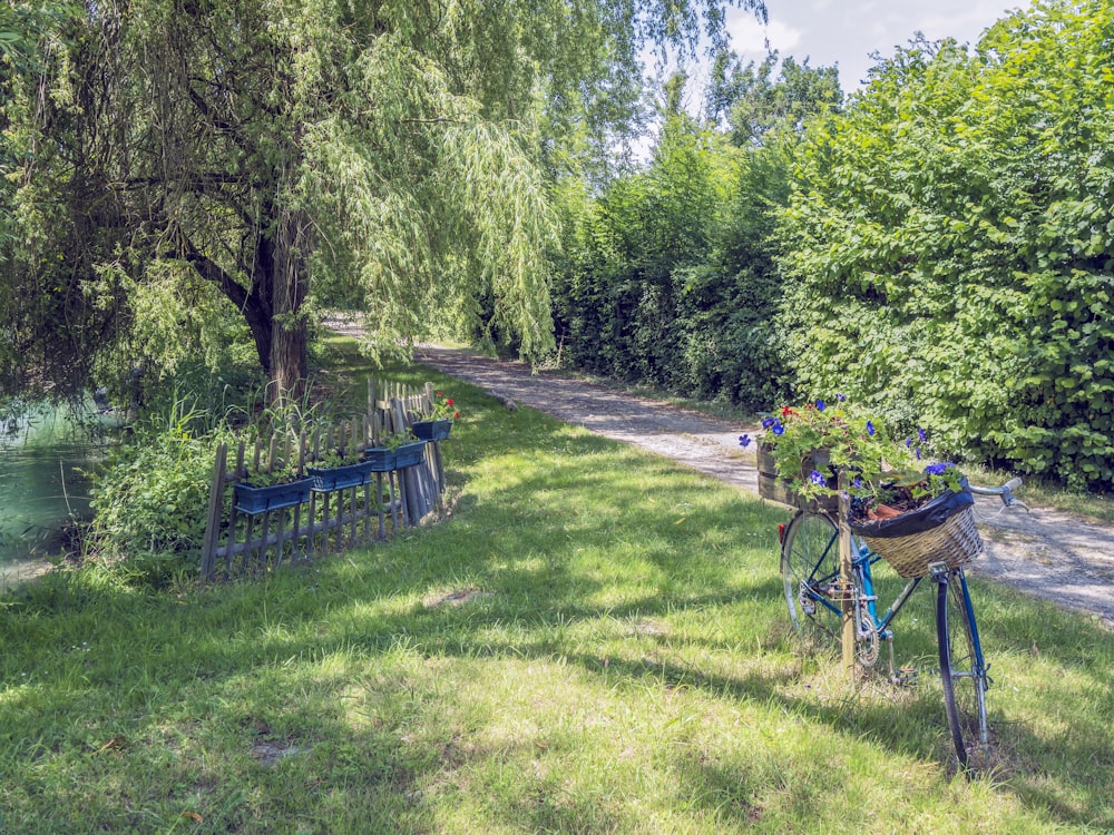 a bike parked next to a tree near a river