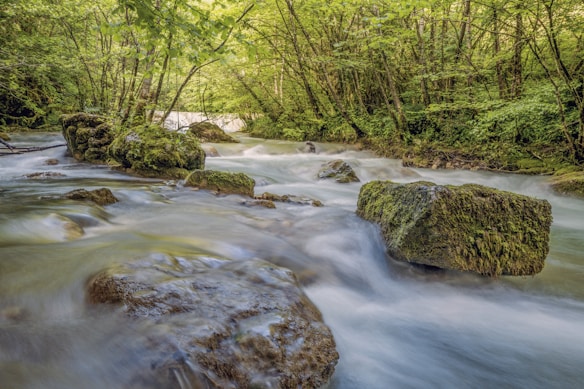 A serene forest scene featuring a gently flowing river surrounded by lush greenery and moss-covered rocks. The water appears to move smoothly over the rocks, creating a calming effect. Trees with dense foliage line the riverbank, adding a sense of tranquility and natural beauty.