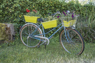 Close-up of a colorful kids' bicycle from Terraride parked beside a blooming garden.