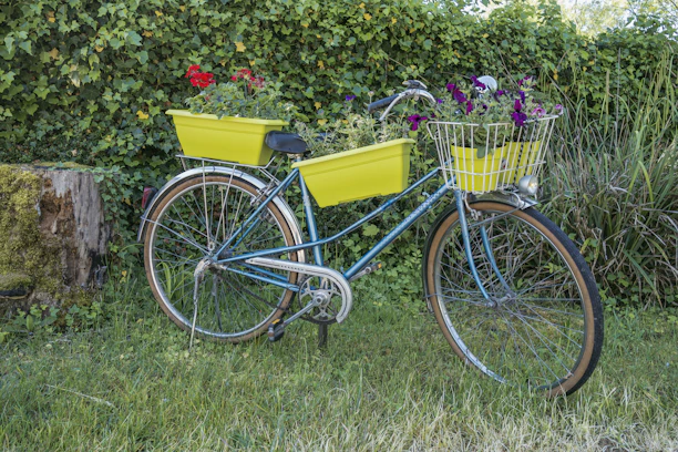 Close-up of a colorful kids' bicycle from Terraride parked beside a blooming garden.