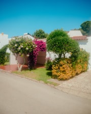A cozy modern house with a vibrant garden in Morelia.