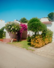A cozy modern house with a vibrant garden in Morelia.
