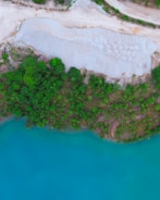 An aerial view of a landscape containing a shoreline with turquoise water on one side and dense green vegetation along with a sandy or gravel area on the other side. The scene appears to be a natural setting with a clear contrast between the vivid blue water and the lush greenery.