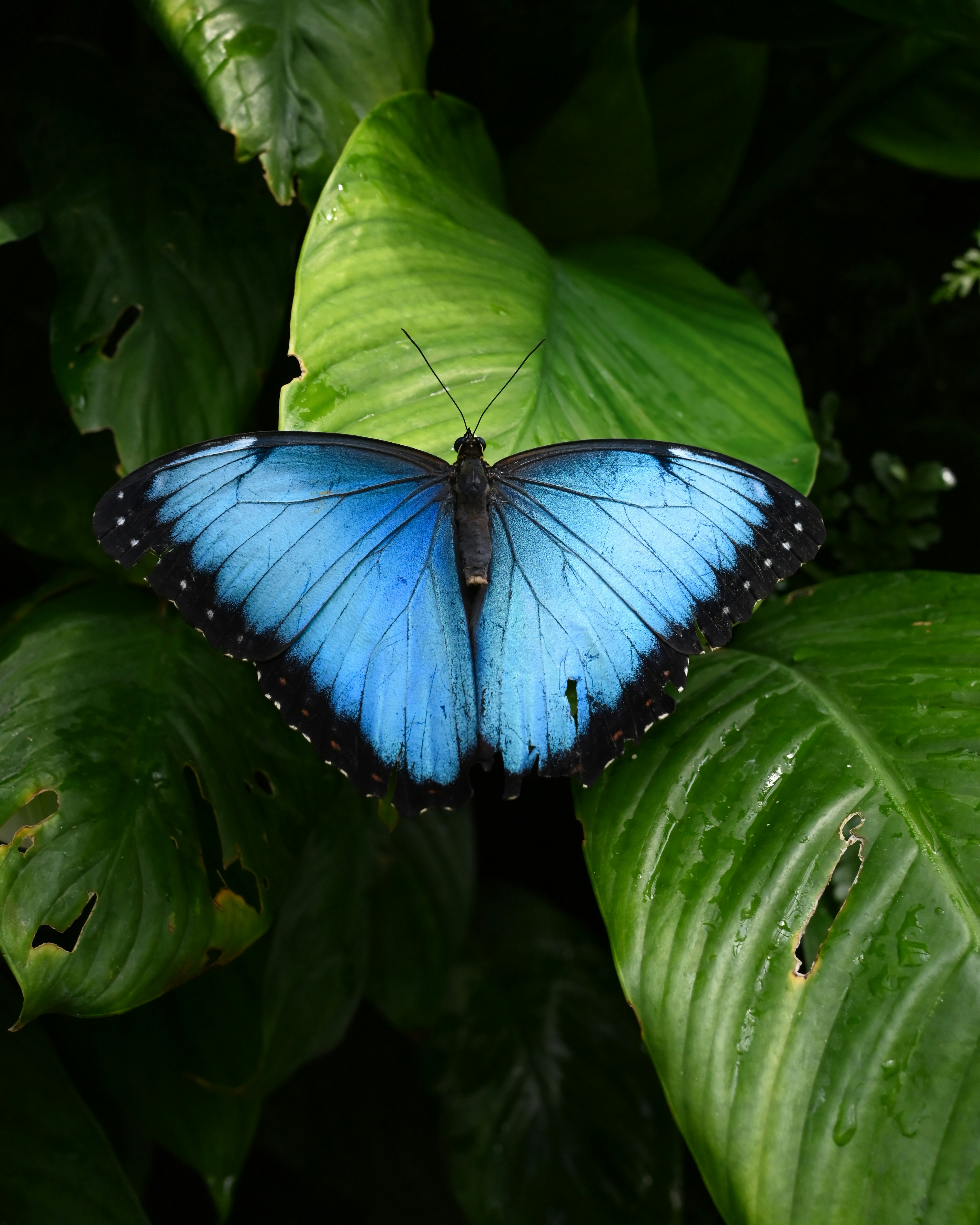 Photo by mortezakhalili