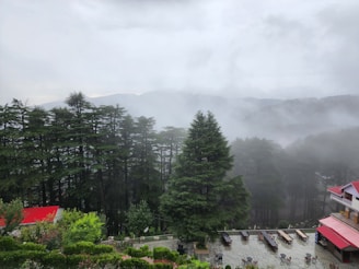 a foggy day in the mountains with a red roof