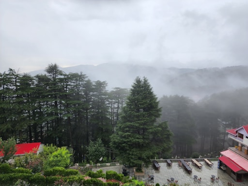 a foggy day in the mountains with a red roof