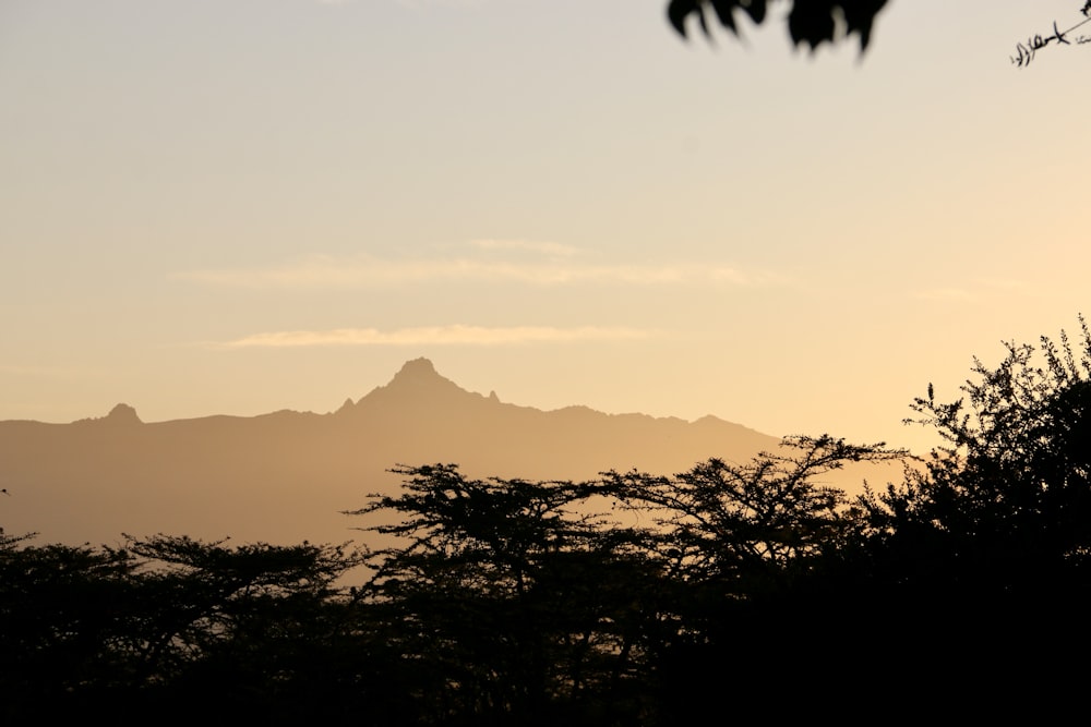 a view of a mountain range at sunset