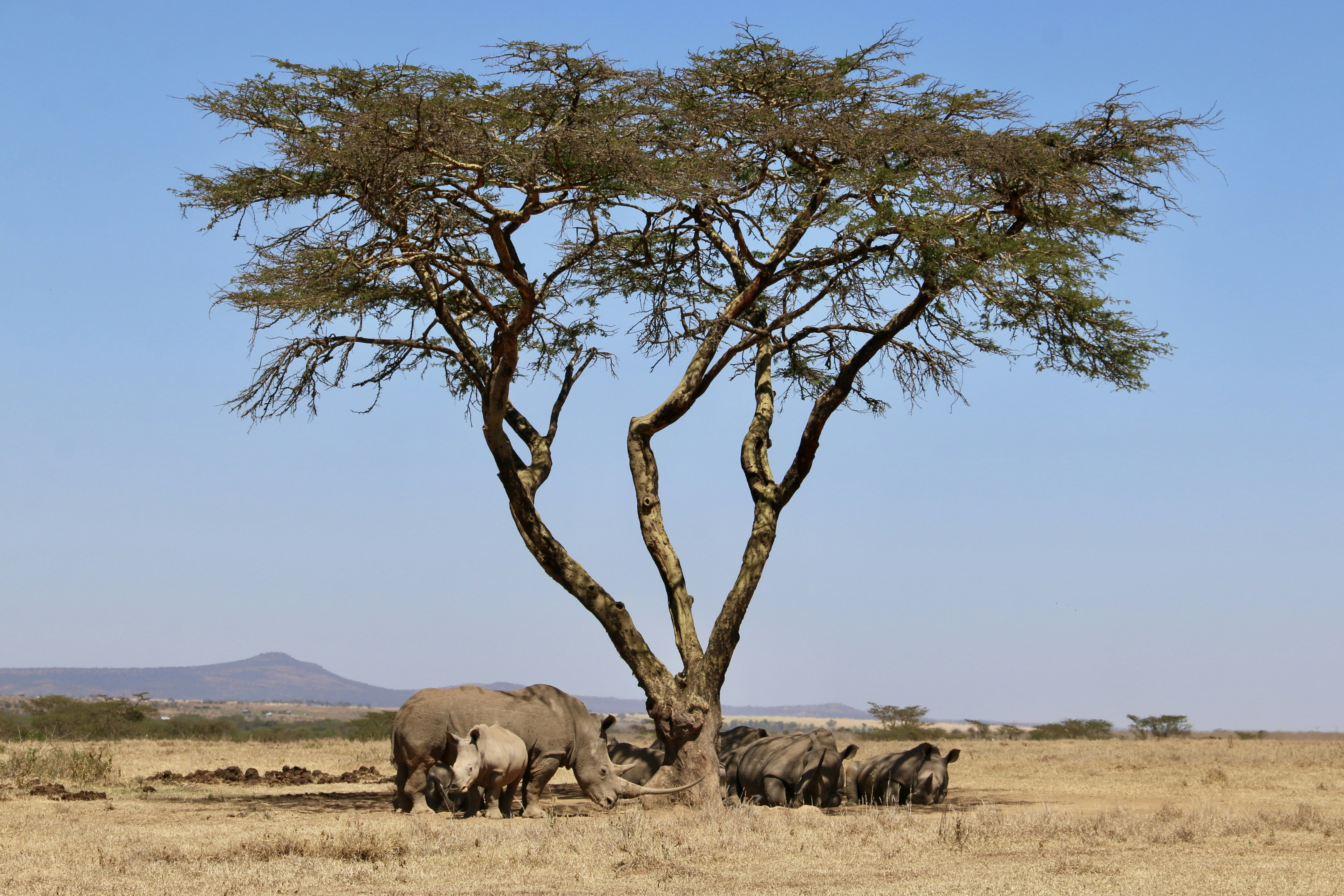 Photo by polinakoroleva