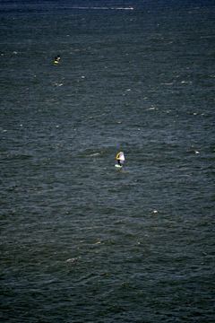 A vast expanse of water with small waves and ripples. Two people are engaged in water sports, likely windsurfing or kiteboarding, each using a board with a sail.