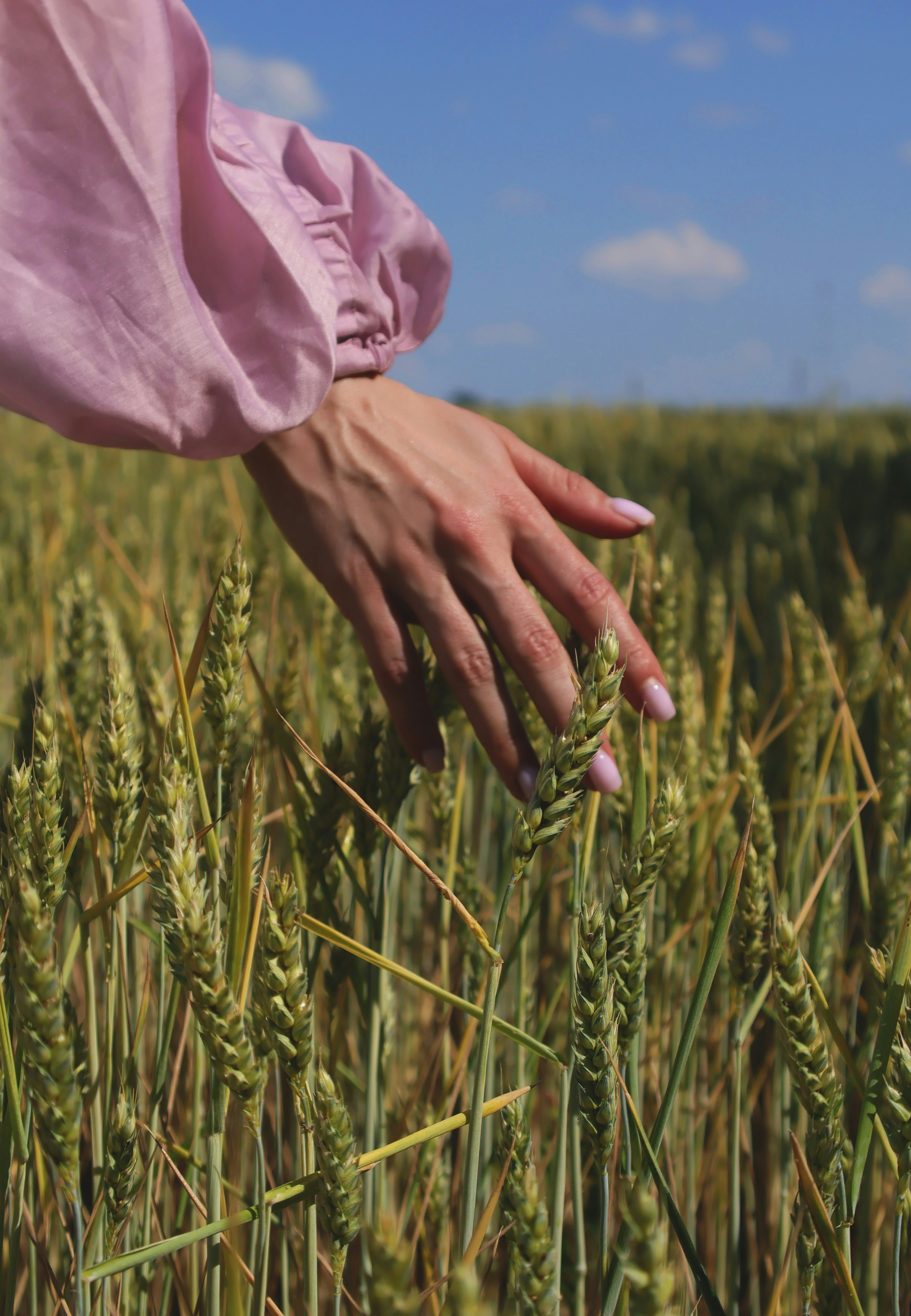 Photo by anyutakejbalo