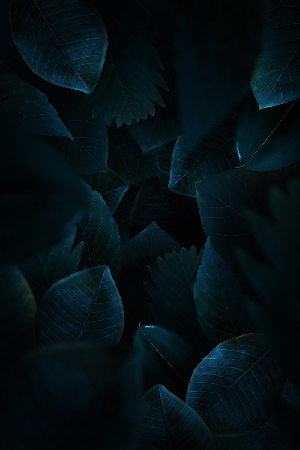 a bunch of green leaves on a dark background