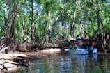 Group of friends laughing during a kayak tour amidst lush mangrove forests.