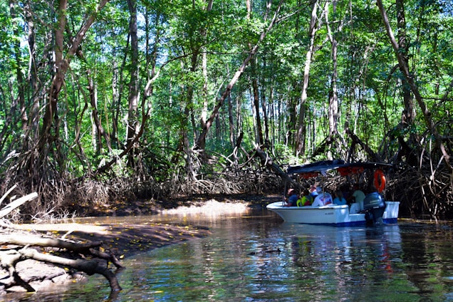 A vibrant group of tourists enjoying a boat tour in the mangroves of Celestún, with clear blue skies and lush greenery.