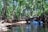 A small boat gliding through lush green mangroves under a bright blue sky.