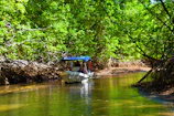 A small boat navigating through dense mangroves with sunlight filtering through leaves.