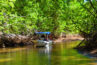 A vibrant canoe gliding through the lush mangroves of Los Haitises National Park under a bright blue sky.