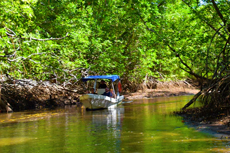 A vibrant canoe gliding through the lush mangroves of Los Haitises National Park under a bright blue sky.