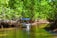 A small boat with a blue canopy is navigating through a narrow river surrounded by dense mangrove trees. The water reflects the lush green foliage, and the sunlight filters through the leaves, creating a serene and vibrant atmosphere.