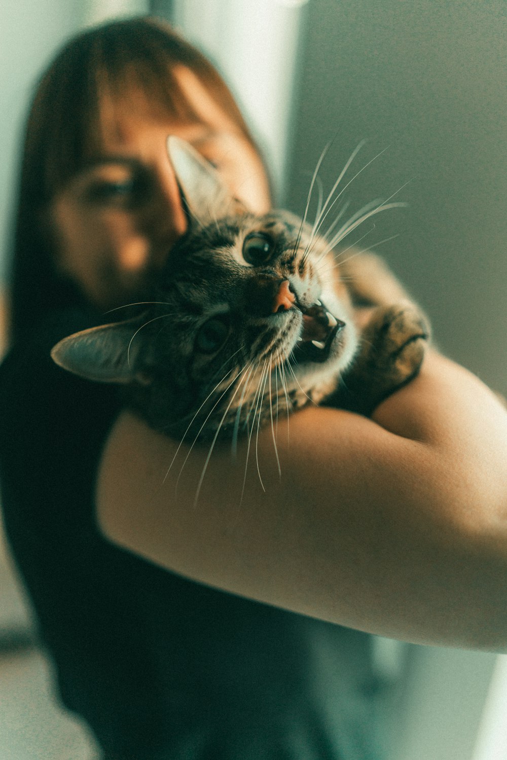 a woman holding a cat in her arms