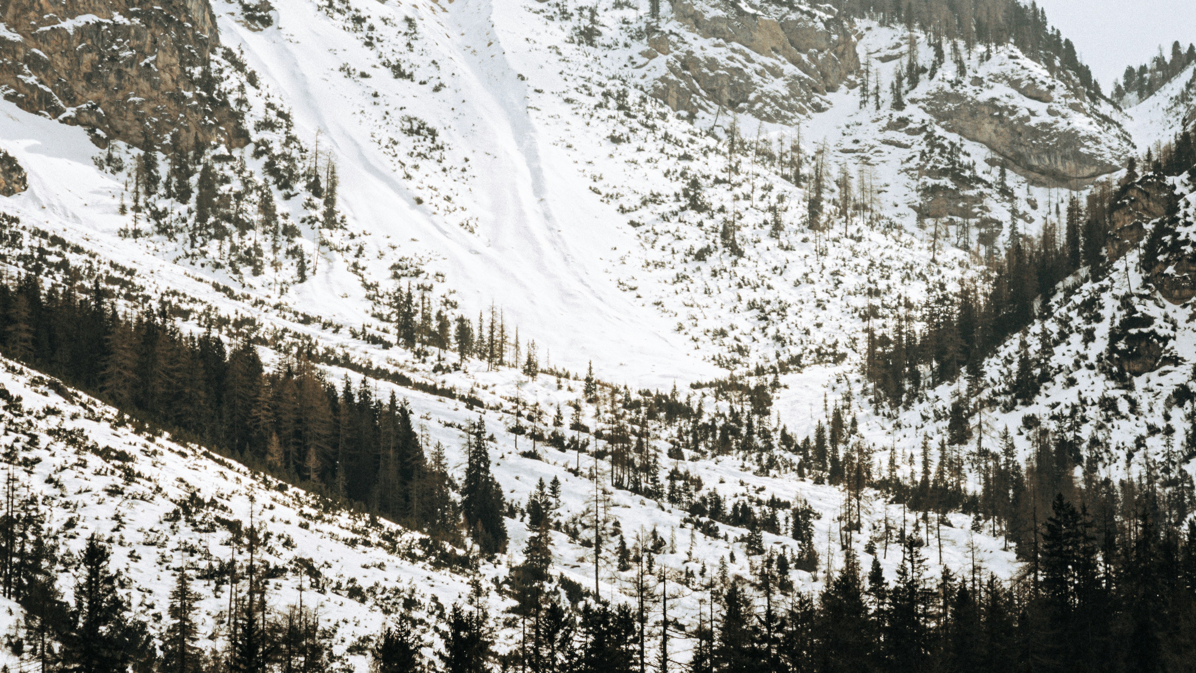 Photo by laerciomilani