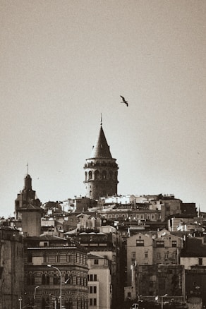 A sepia-toned cityscape featuring a historic tower rising above a collection of tightly packed buildings. A bird flies in the clear sky above the tower, adding a sense of serenity to the scene. The architecture combines elements of classic and more modern designs, with intricate details visible on some of the older buildings.