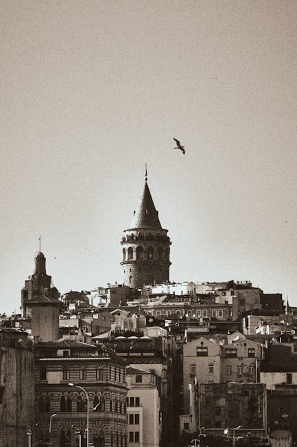 A sepia-toned cityscape featuring a historic tower rising above a collection of tightly packed buildings. A bird flies in the clear sky above the tower, adding a sense of serenity to the scene. The architecture combines elements of classic and more modern designs, with intricate details visible on some of the older buildings.