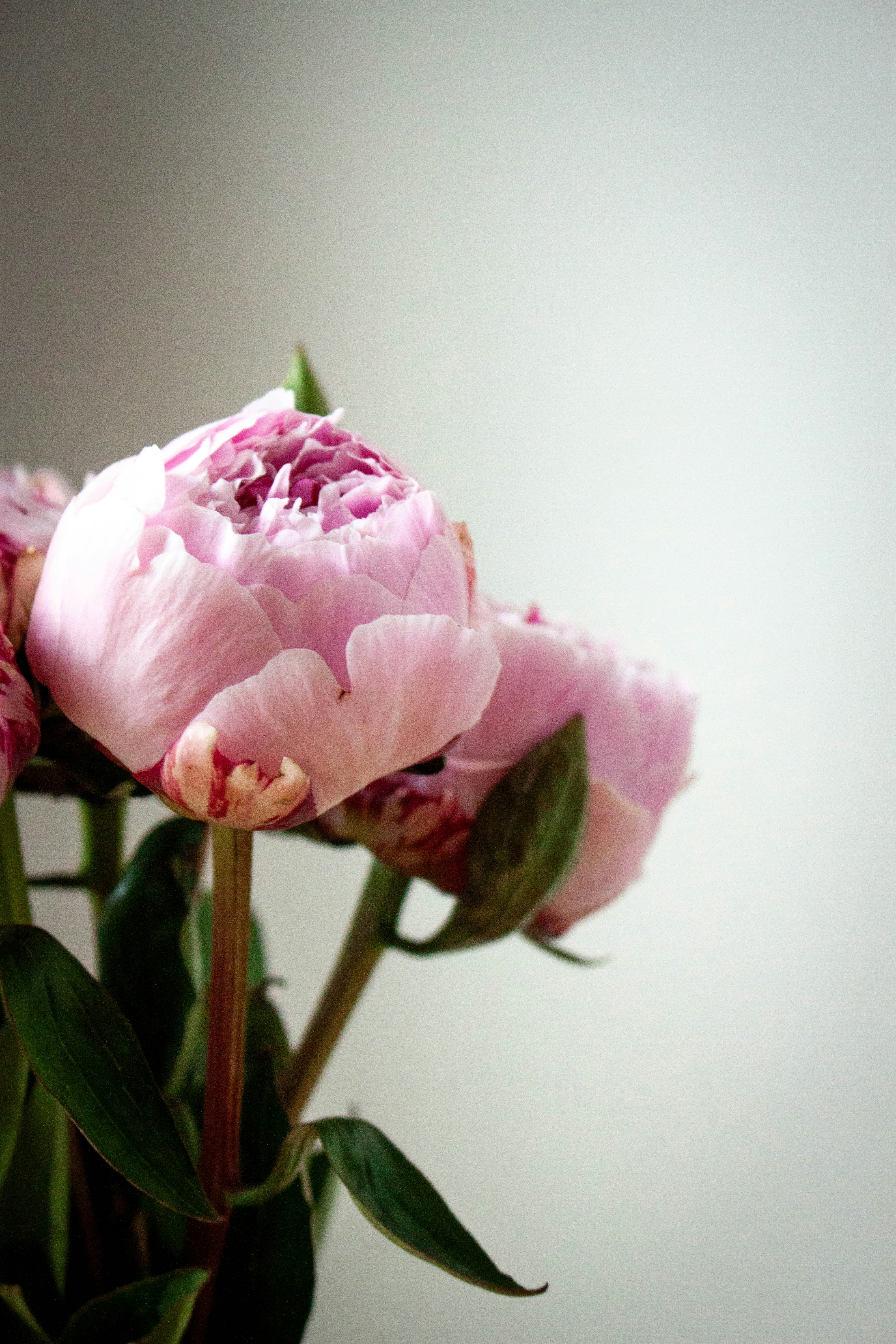 Photo by kamillaisalieva