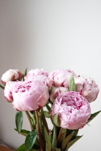 Blush Peony Bouquet