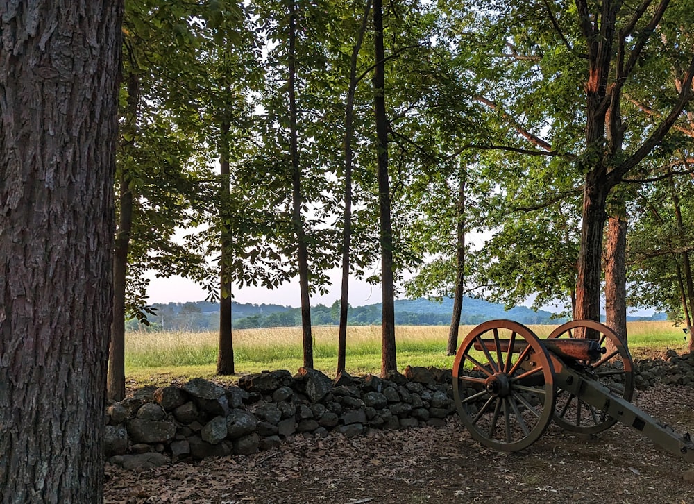 an old wooden wagon sitting in the middle of a forest