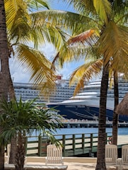 a cruise ship docked in the water next to palm trees