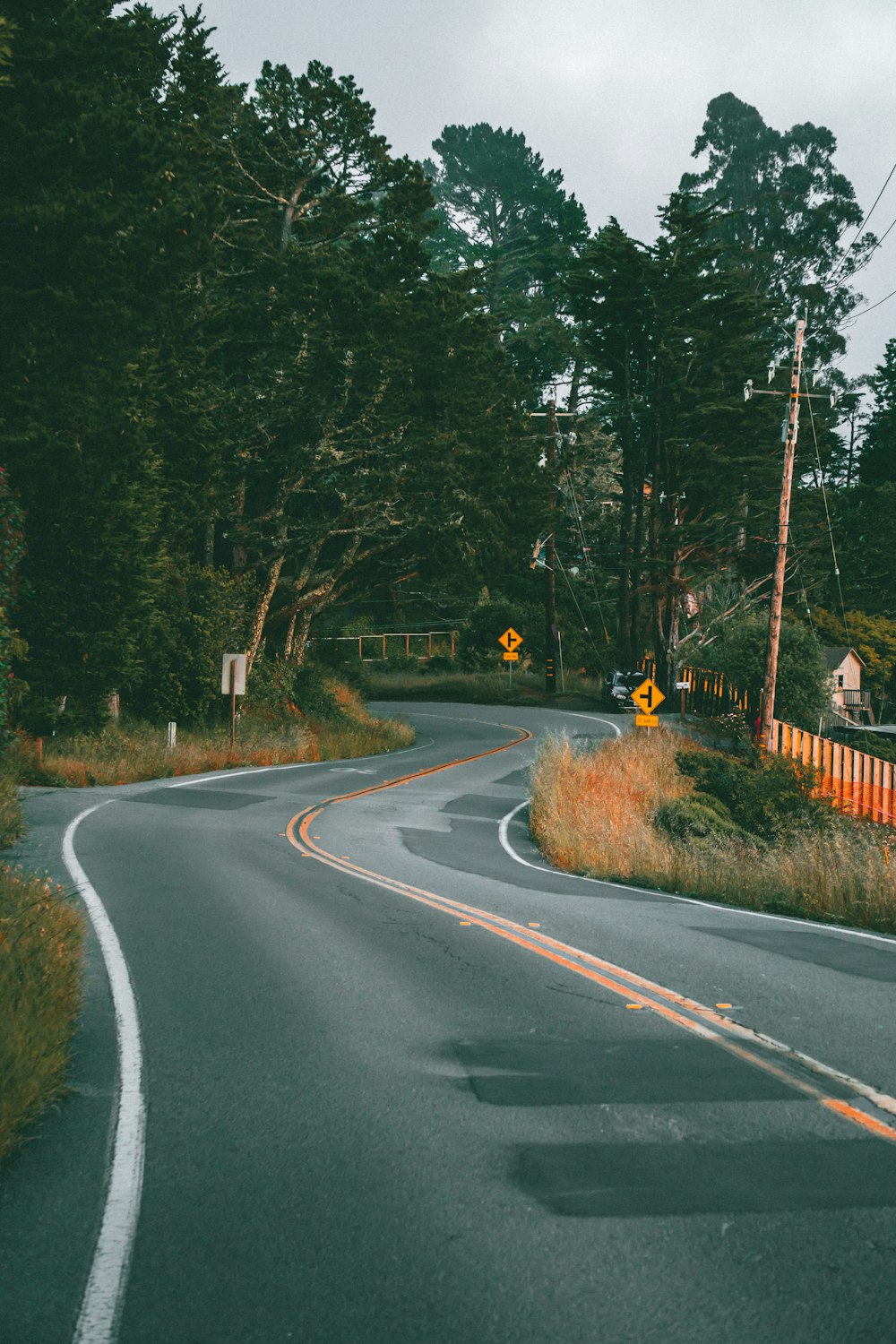 A curve in the road with trees in the background photo – Free Marin  headlands Image on Unsplash