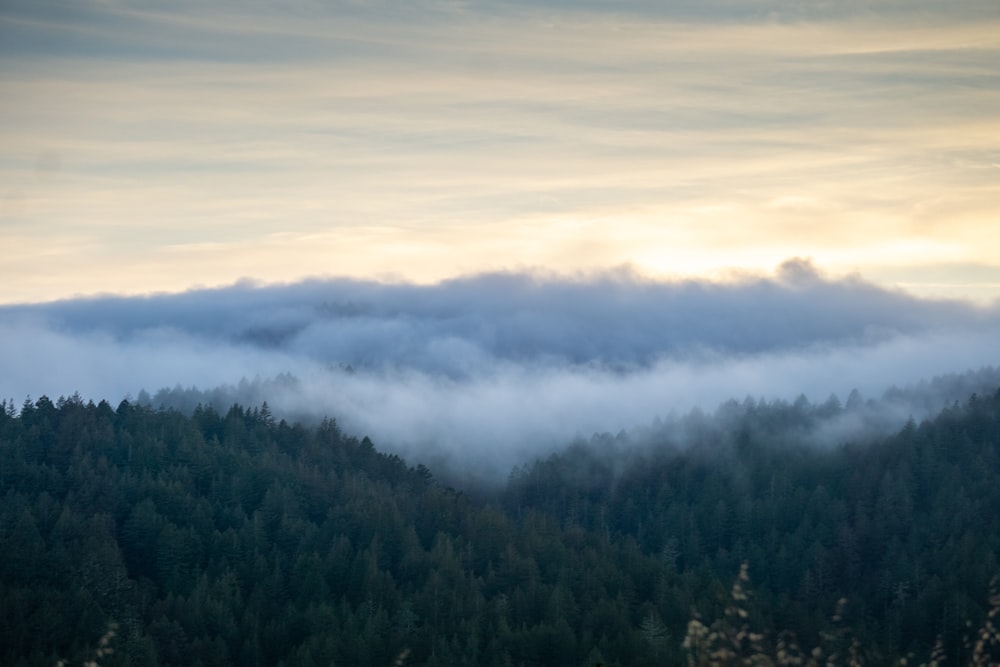 uma montanha coberta de nevoeiro e nuvens baixas