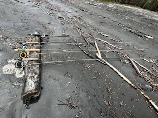 Four fishing rods are resting on a piece of driftwood on a sandy and muddy beach. The area is scattered with branches and twigs, with a forest visible in the background.