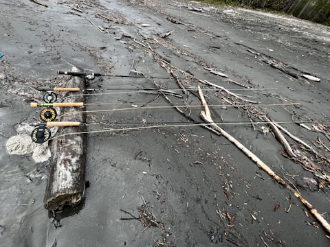 Four fishing rods are resting on a piece of driftwood on a sandy and muddy beach. The area is scattered with branches and twigs, with a forest visible in the background.