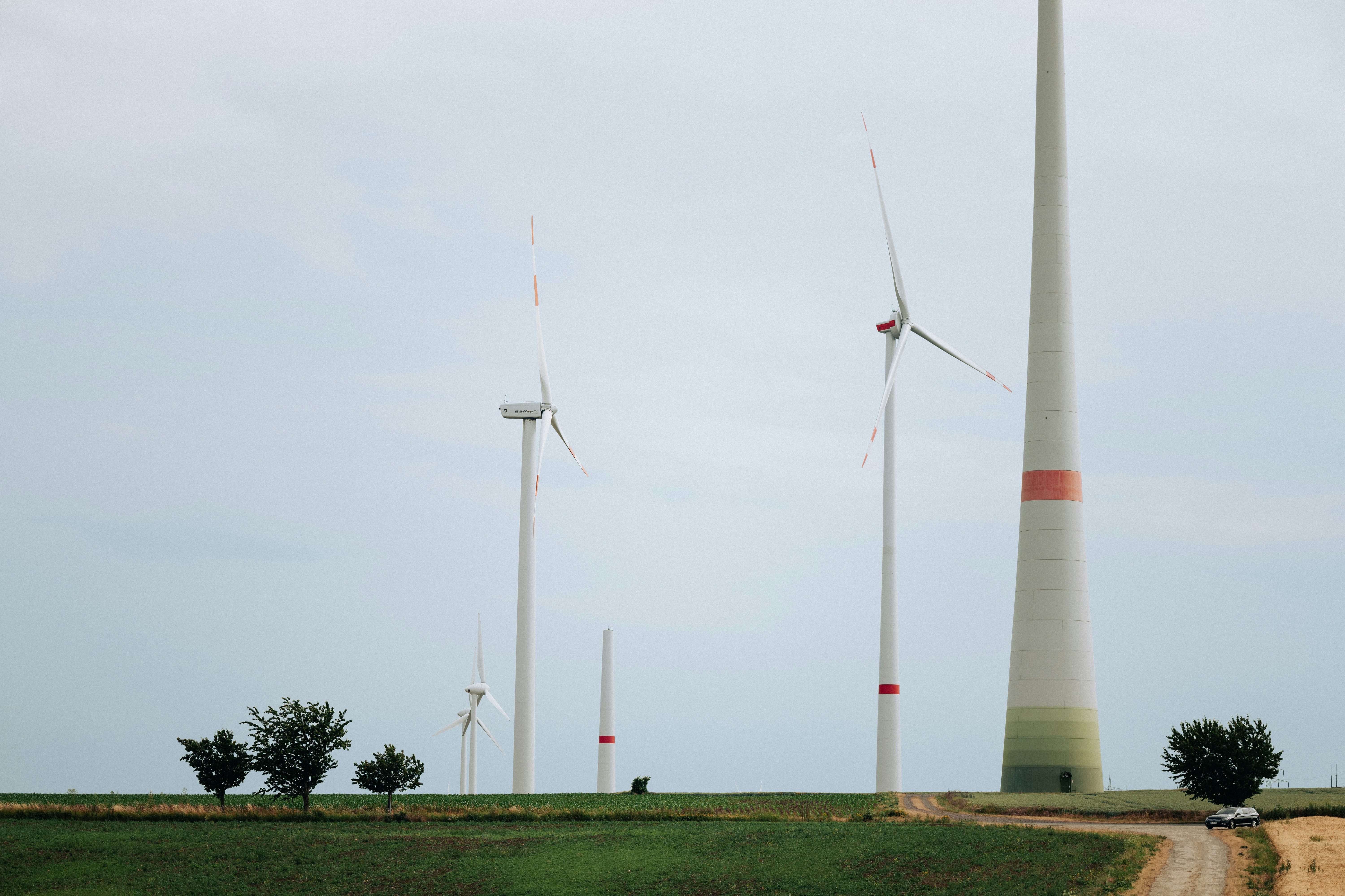 Un grupo de molinos de viento en un campo cerca de un camino de tierra