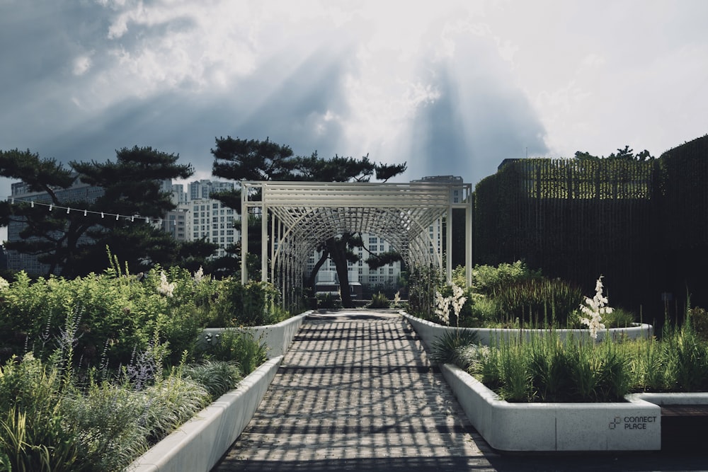 a garden area with a gazebo surrounded by greenery