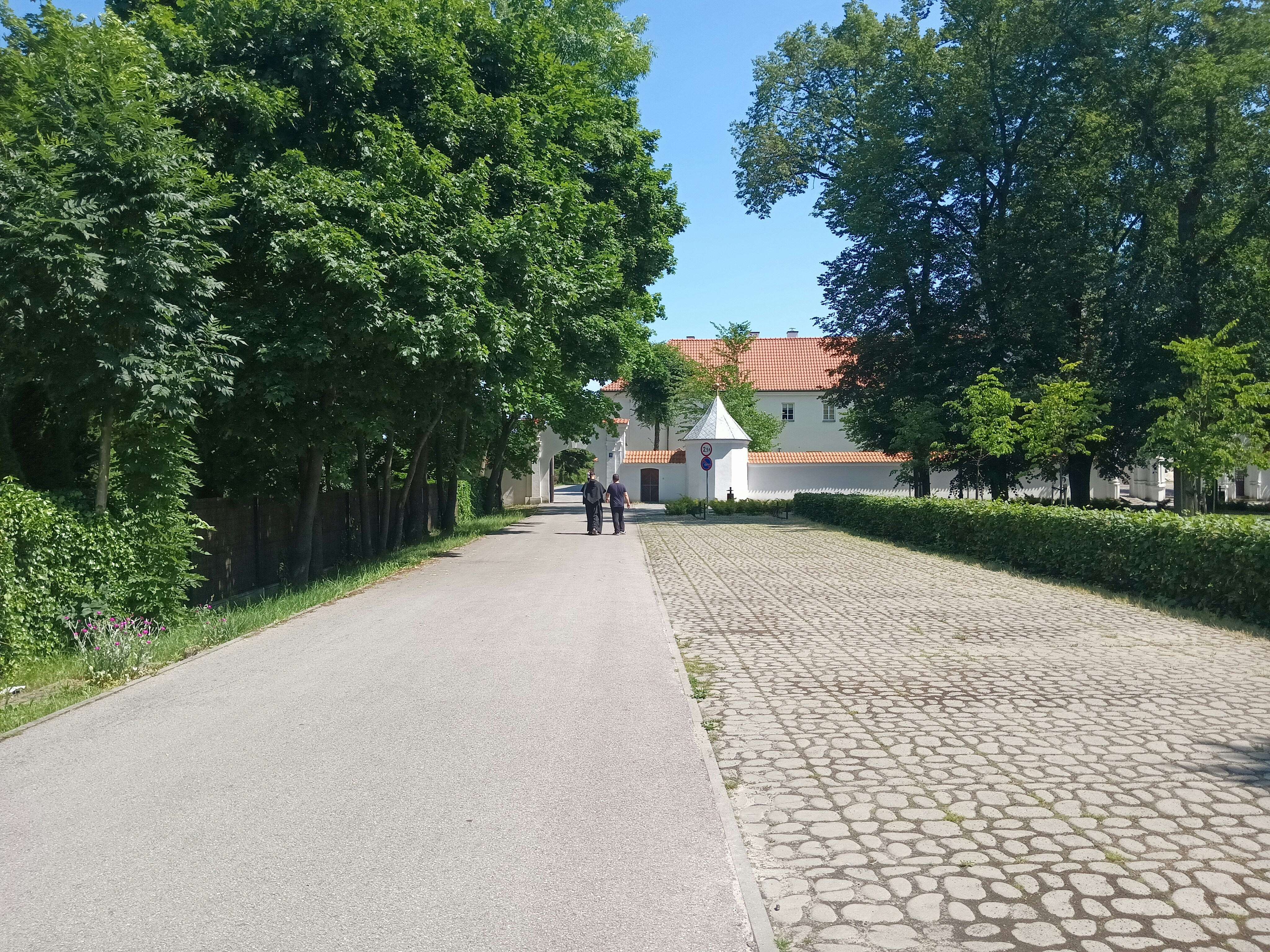 Un par de personas caminando por una calle junto a los árboles
